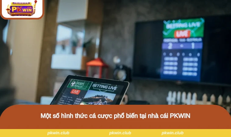 Một số hình thức cá cược phổ biến tại nhà cái PKWIN