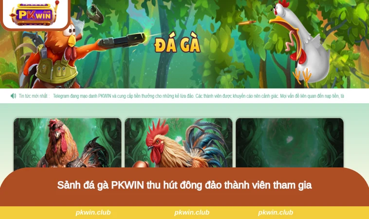 Sảnh đá gà PKWIN thu hút đông đảo thành viên tham gia