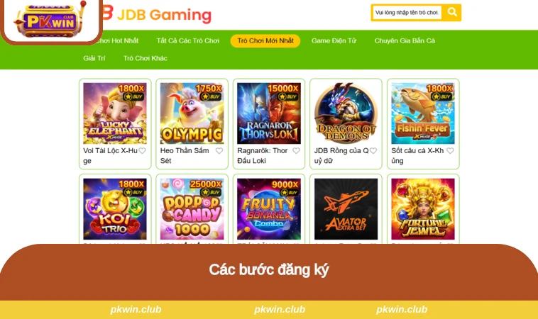 Các bước đăng ký