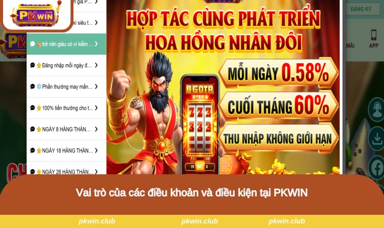 Vai trò của các điều khoản và điều kiện tại PKWIN