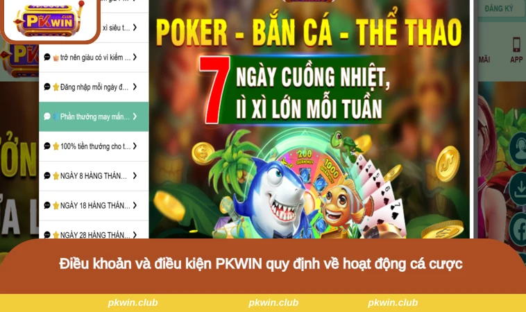 Điều khoản và điều kiện PKWIN quy định về hoạt động cá cược 