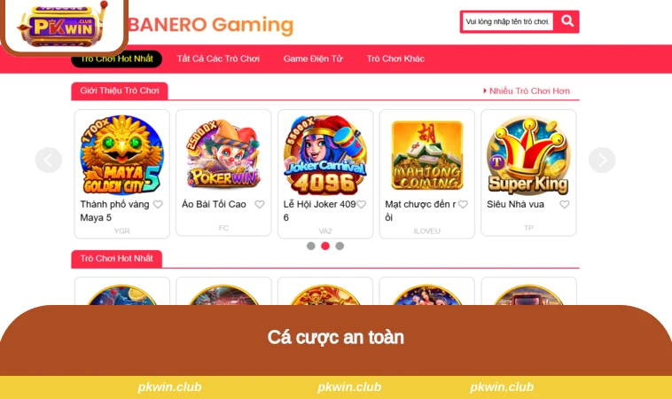 Cá cược an toàn