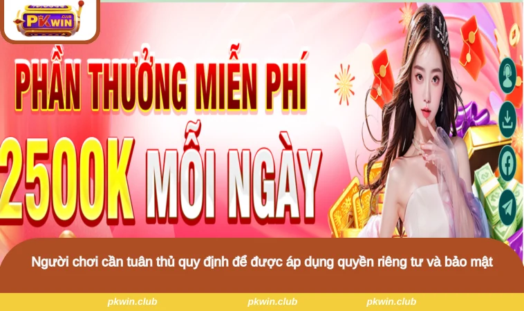Người chơi cần tuân thủ quy định để được áp dụng quyền riêng tư và bảo mật